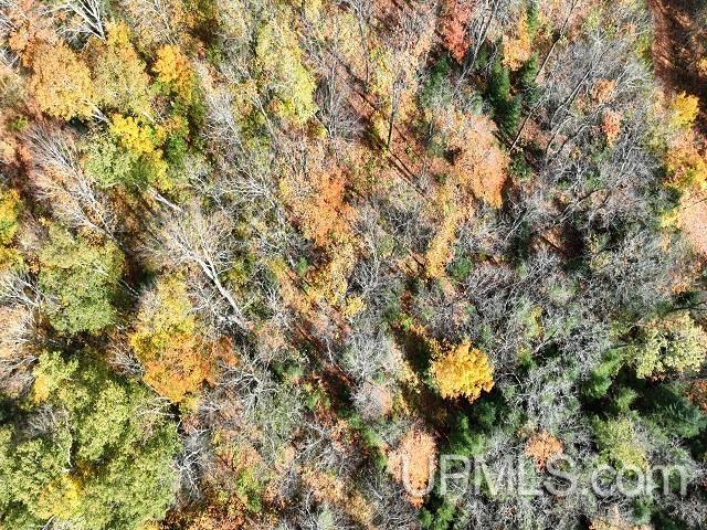 5800 Wolf Lake Road Watersmeet, MI 49969 - Photo 69 of 86