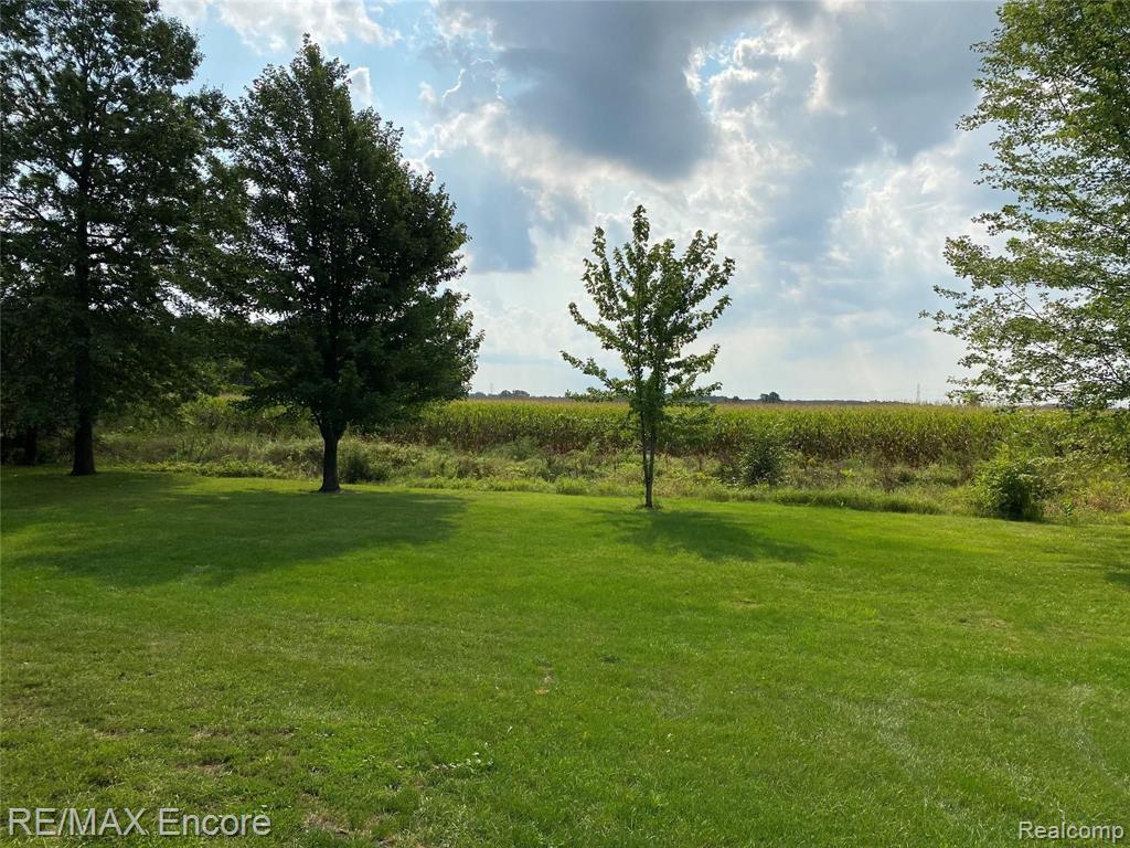 12355 Niblok Road Chesaning, MI 48616 - Photo 5 of 55