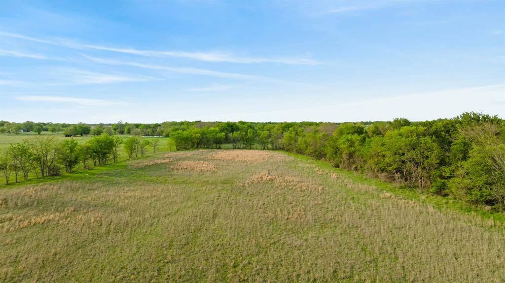 6559 Fm 2068 Commerce, TX 75428 - Photo 10 of 40 a view of a field with an trees
