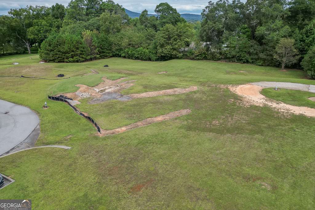 208 Pirkle Ferry Road Cumming, GA 30040 - Photo 13 of 14 a view of a golf course with a park