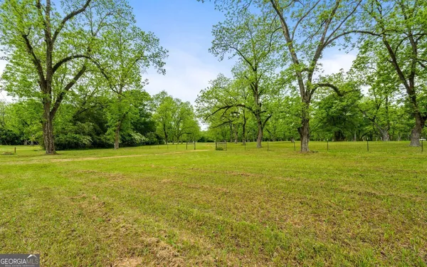 a view of a field with trees in the background