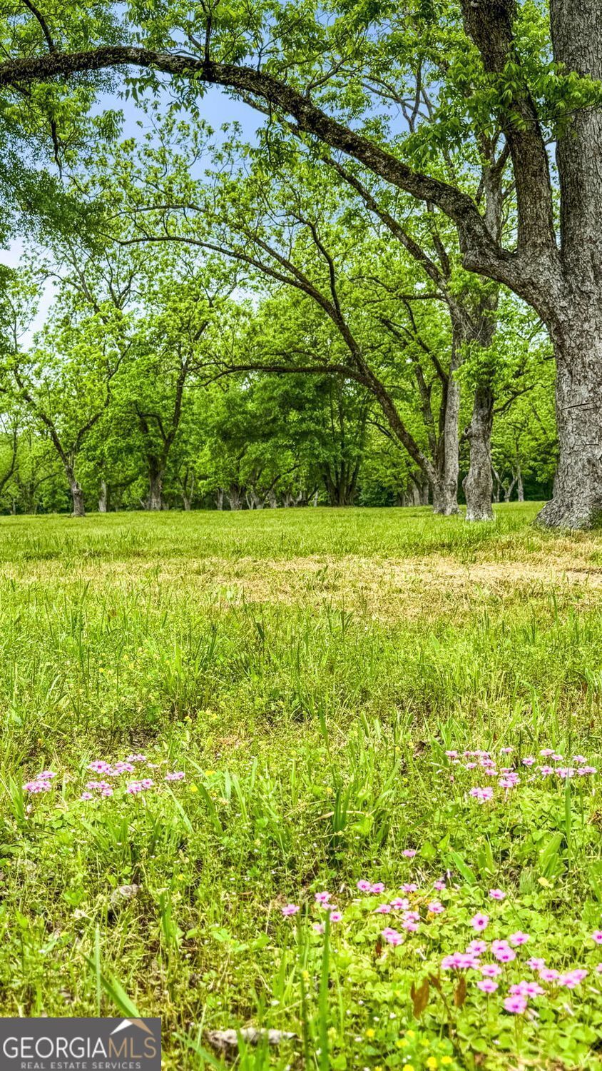 117 Zebulon Street Milner, GA 30257 - Photo 14 of 24 a view of a yard with a tree