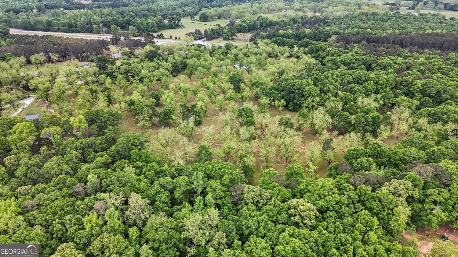 117 Zebulon Street Milner, GA 30257 - Photo 15 of 24 an aerial view of residential house with outdoor space and trees all around