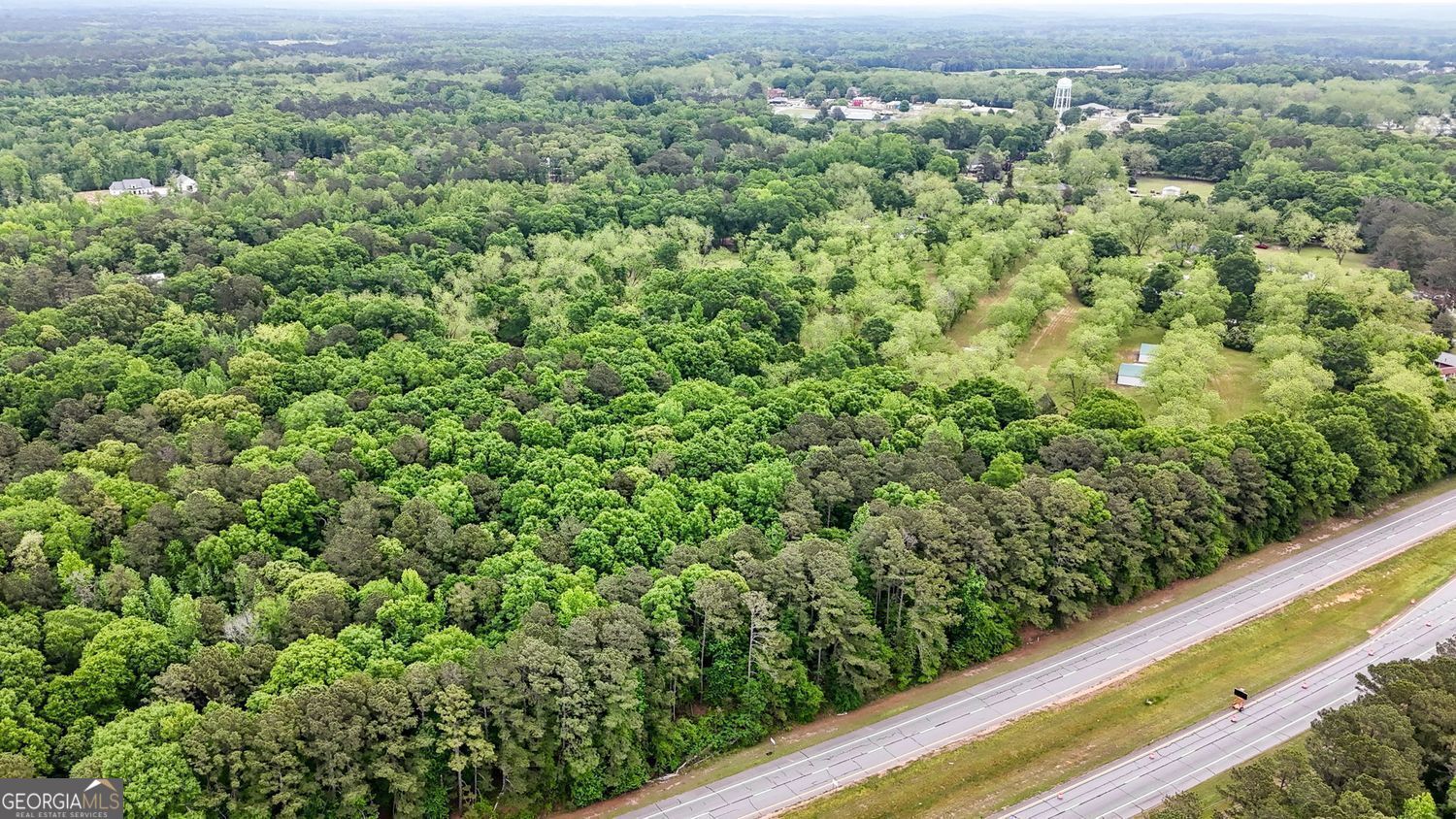 117 Zebulon Street Milner, GA 30257 - Photo 20 of 24 view of a green field with lots of bushes