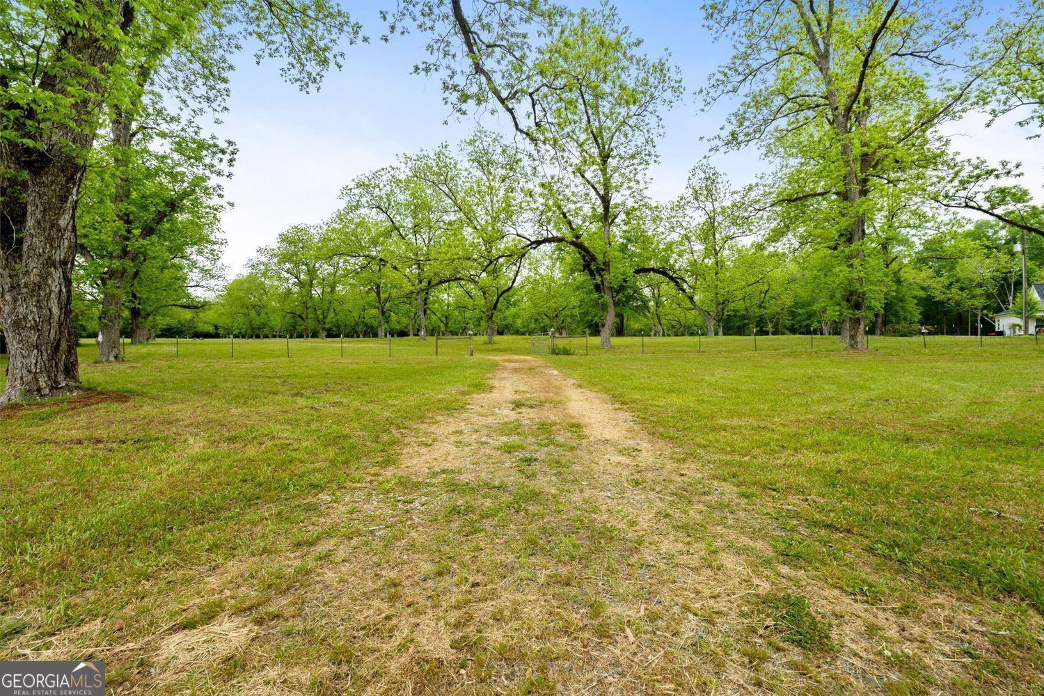 117 Zebulon Street Milner, GA 30257 - Photo 2 of 24 a view of a green field with a tree