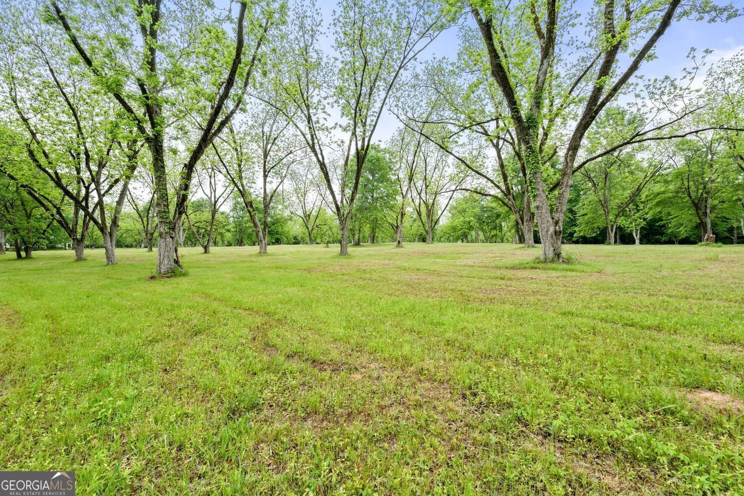 117 Zebulon Street Milner, GA 30257 - Photo 4 of 24 a big yard with lots of trees
