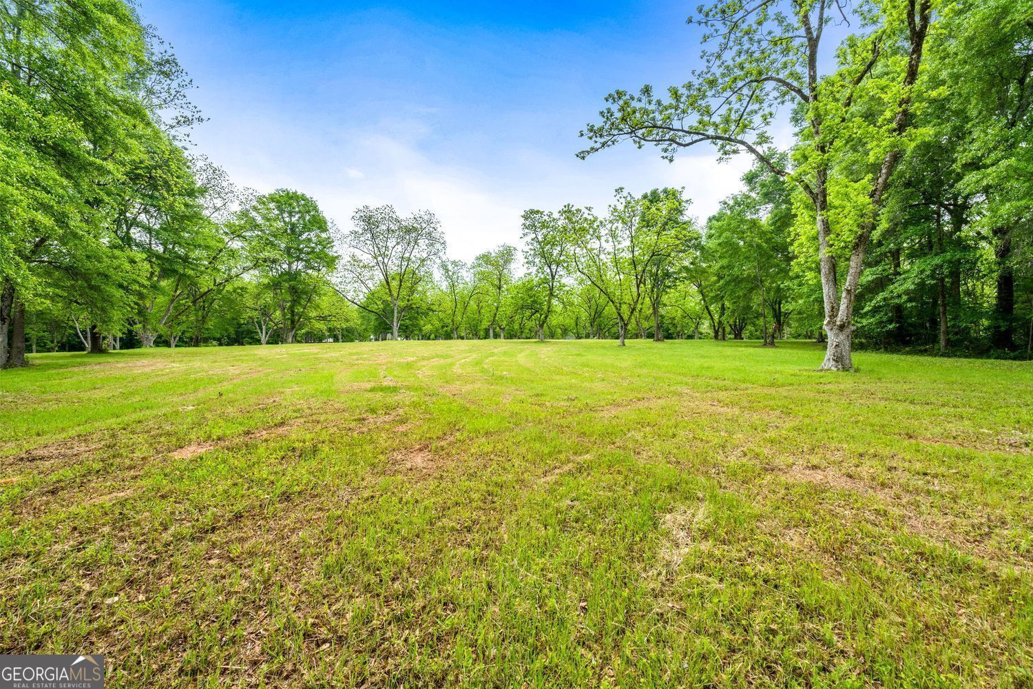 117 Zebulon Street Milner, GA 30257 - Photo 6 of 24 a view of a big yard with large trees