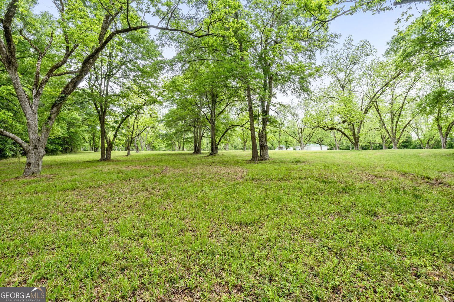 117 Zebulon Street Milner, GA 30257 - Photo 7 of 24 a view of a grassy field with trees