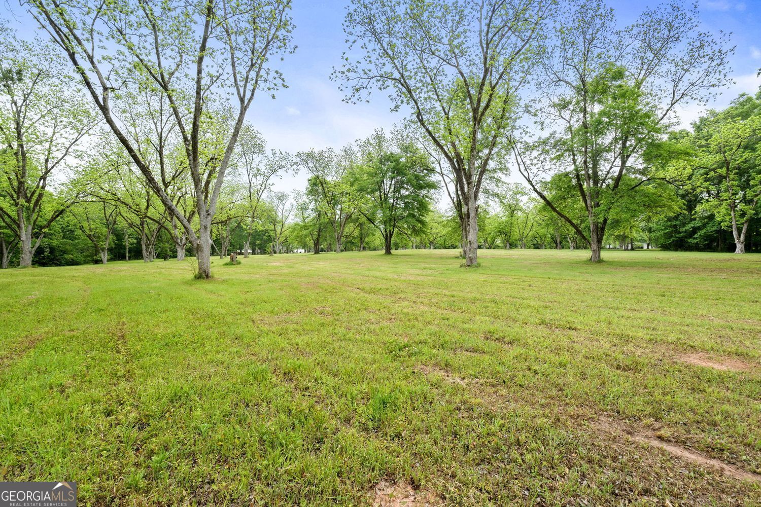 117 Zebulon Street Milner, GA 30257 - Photo 8 of 24 a view of a green field with trees in the background