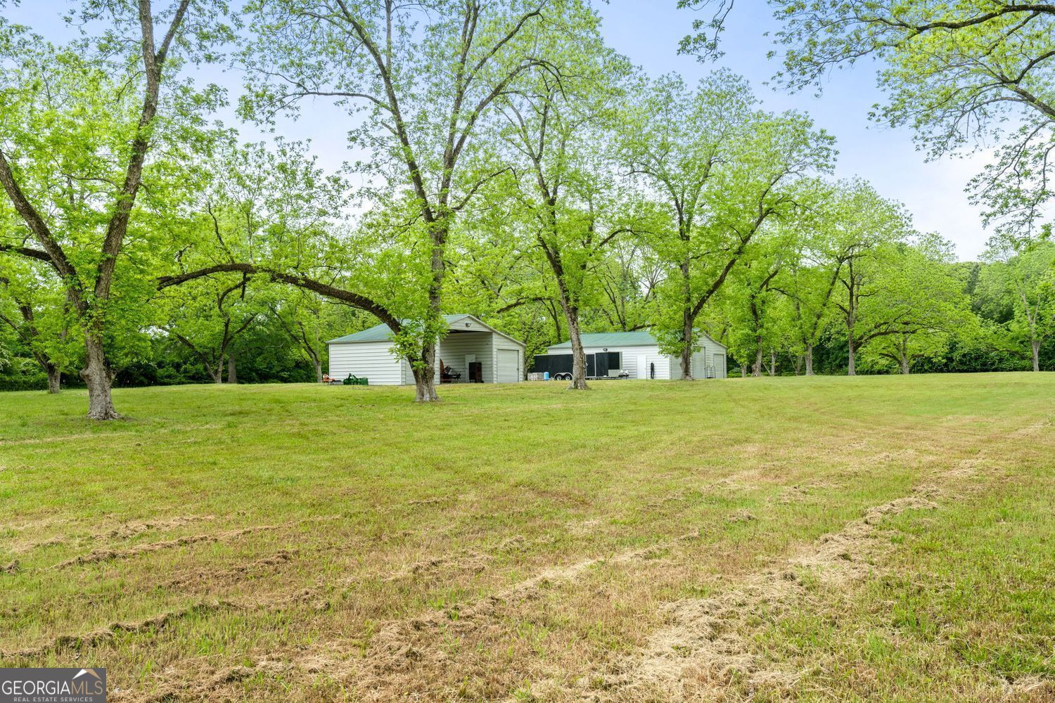 117 Zebulon Street Milner, GA 30257 - Photo 9 of 24 a view of green field with tree in the background