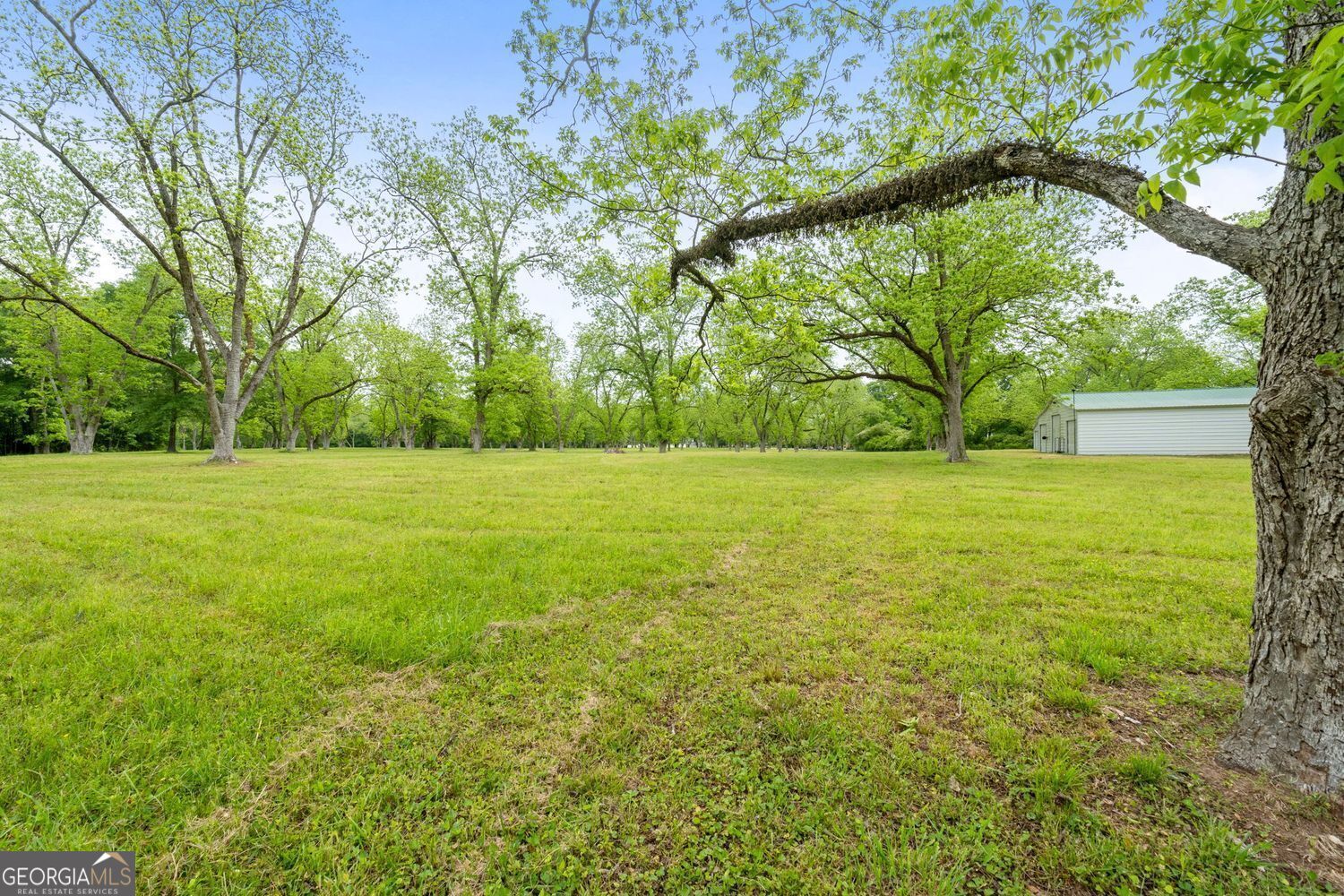 117 Zebulon Street Milner, GA 30257 - Photo 10 of 24 a view of a trees with a yard