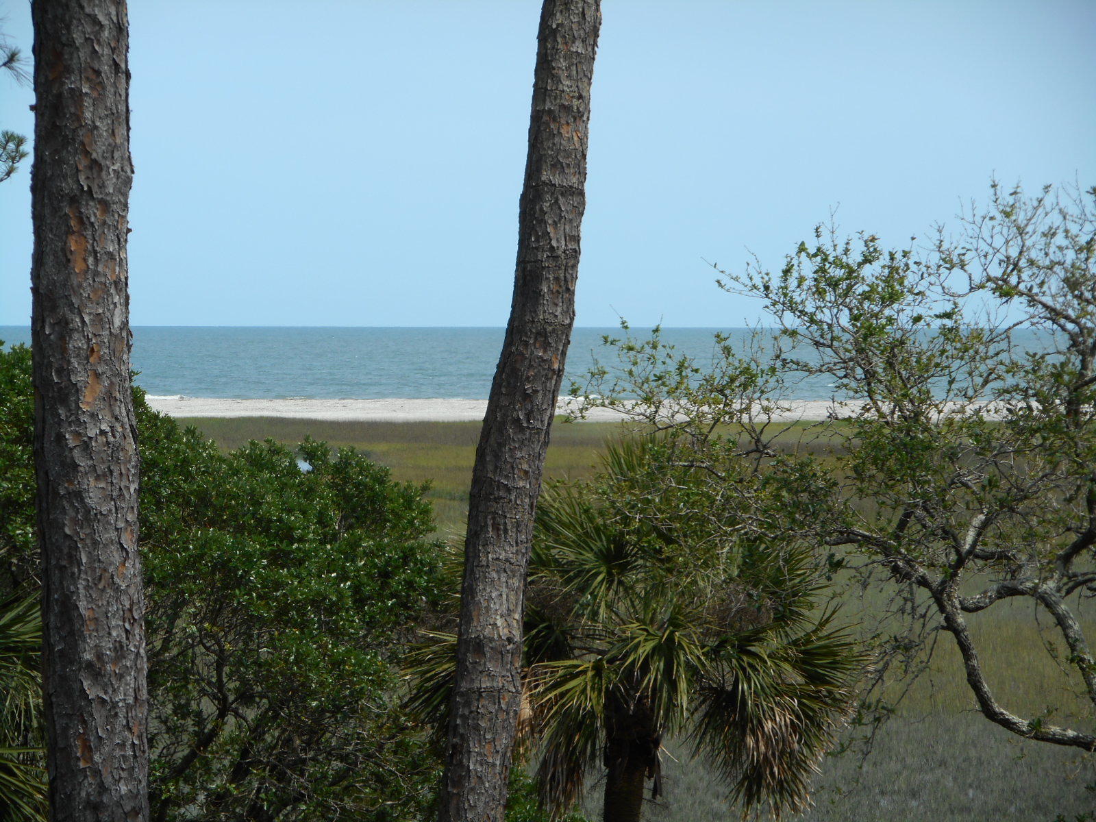 7640 Legare Road Edisto Island, SC 29438 - Photo 20 of 79 7640 Legare Road (54)