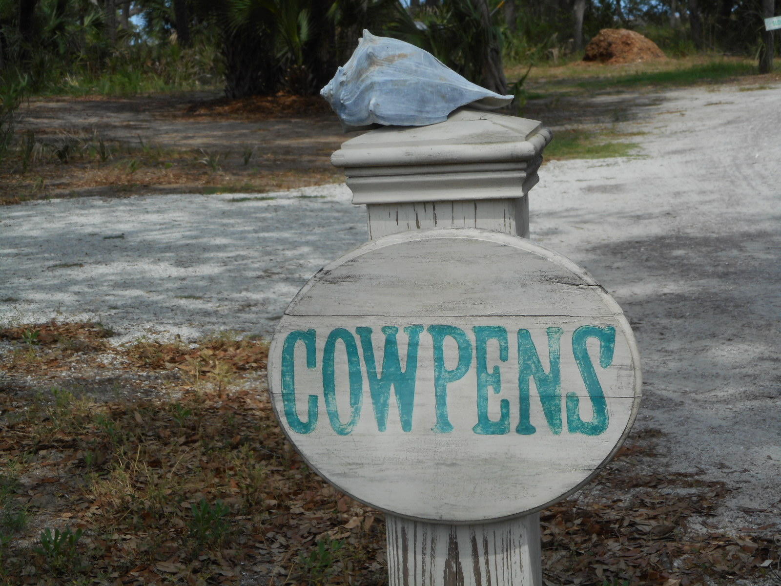 7640 Legare Road Edisto Island, SC 29438 - Photo 23 of 79 7640 Legare Road (59)