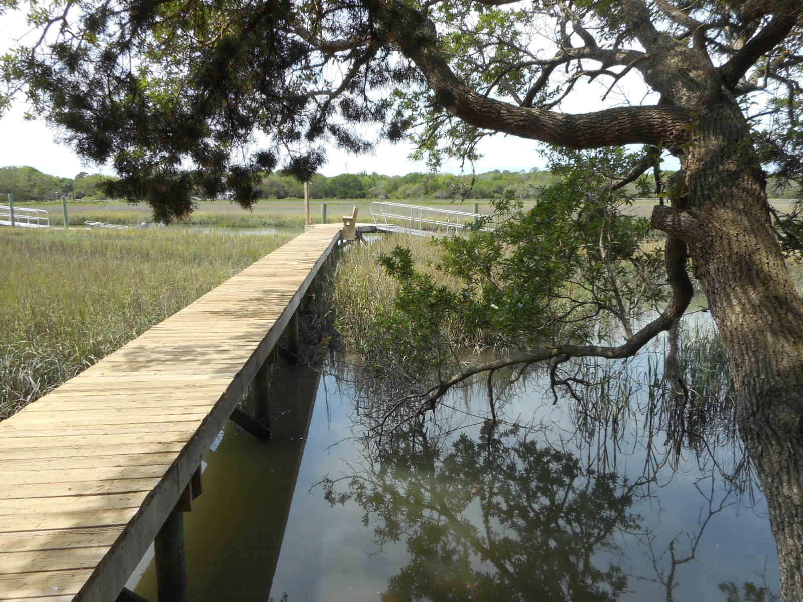 7640 Legare Road Edisto Island, SC 29438 - Photo 32 of 79 7640 Legare Road (17)