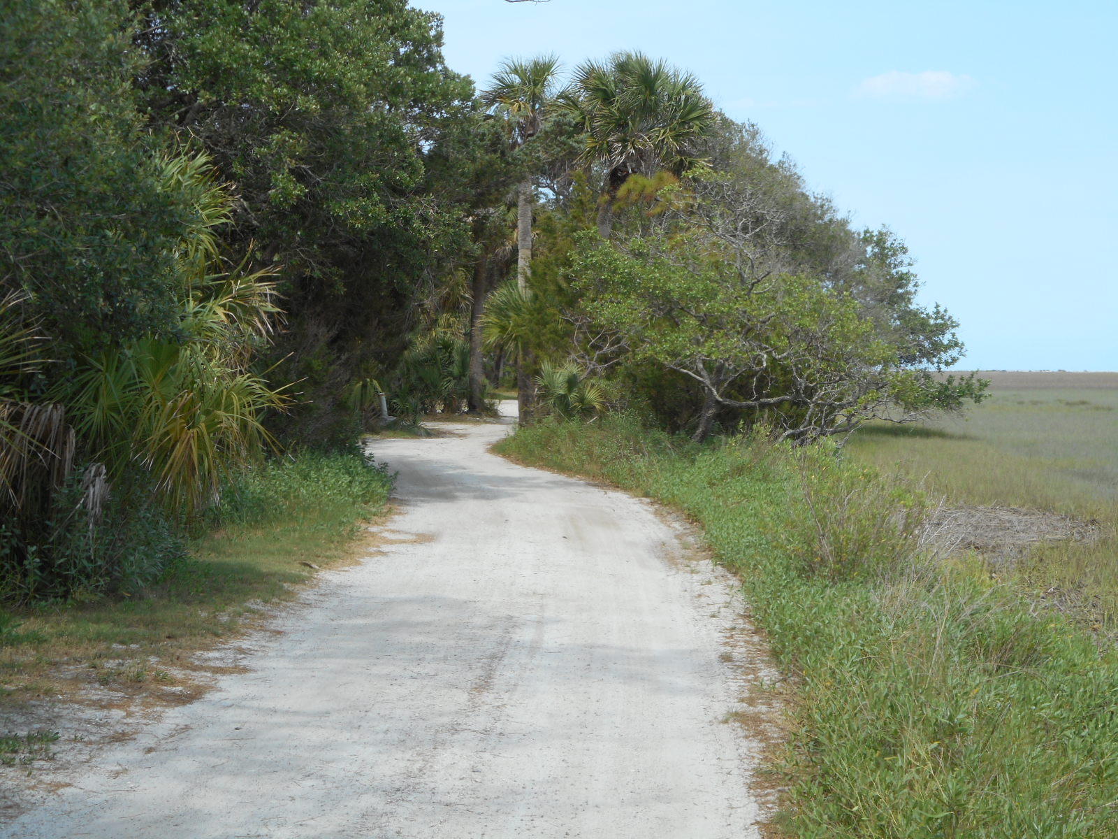7640 Legare Road Edisto Island, SC 29438 - Photo 55 of 79 7640 Legare Road (58)
