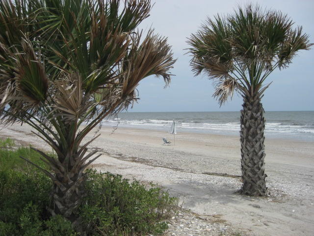 7640 Legare Road Edisto Island, SC 29438 - Photo 9 of 79 3