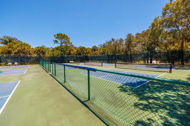 a backyard of a house with plants and large trees