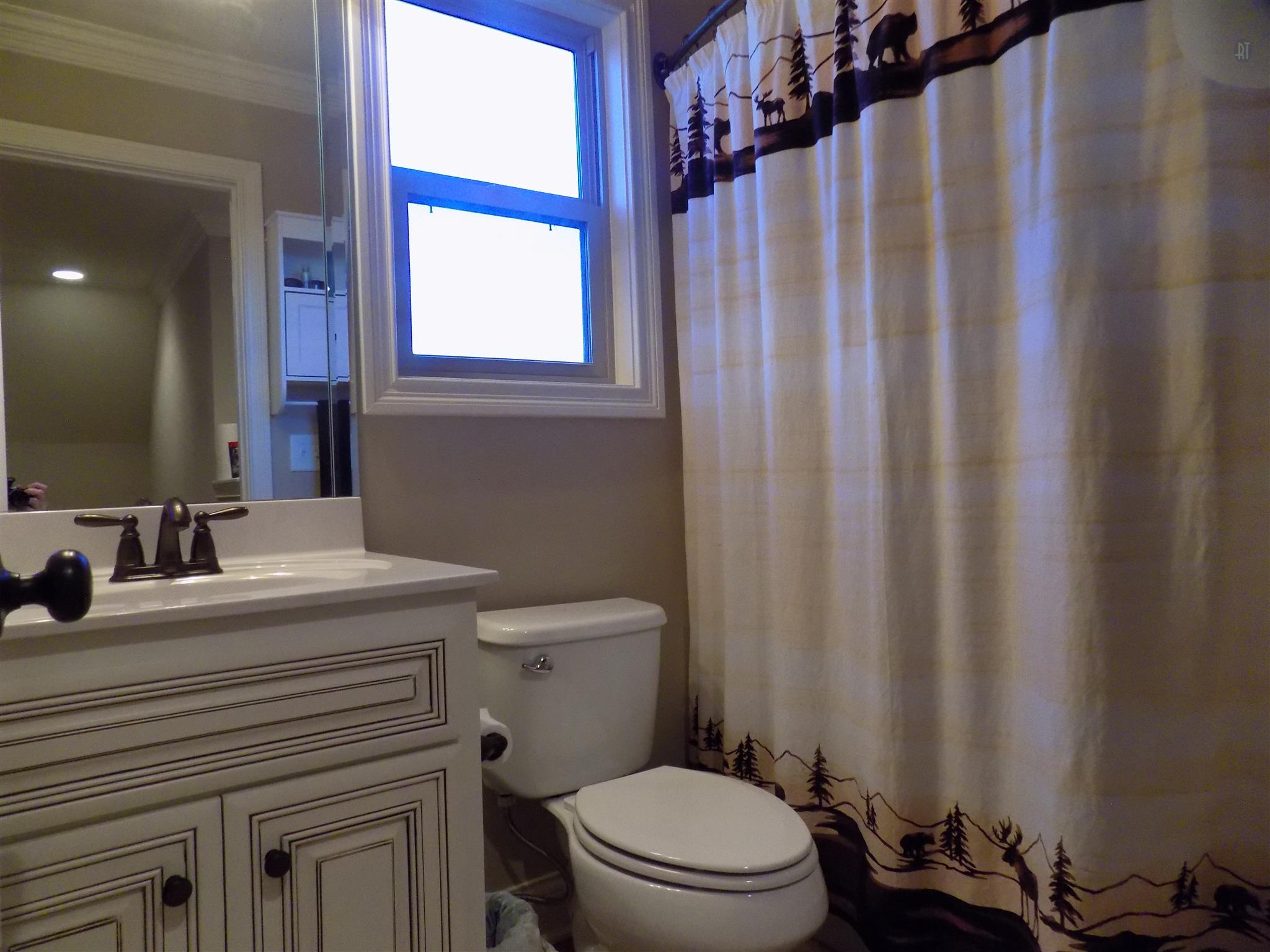 704 Academy Road Lebanon, TN 37087 - Photo 16 of 16 a bathroom with a sink a toilet and a mirror