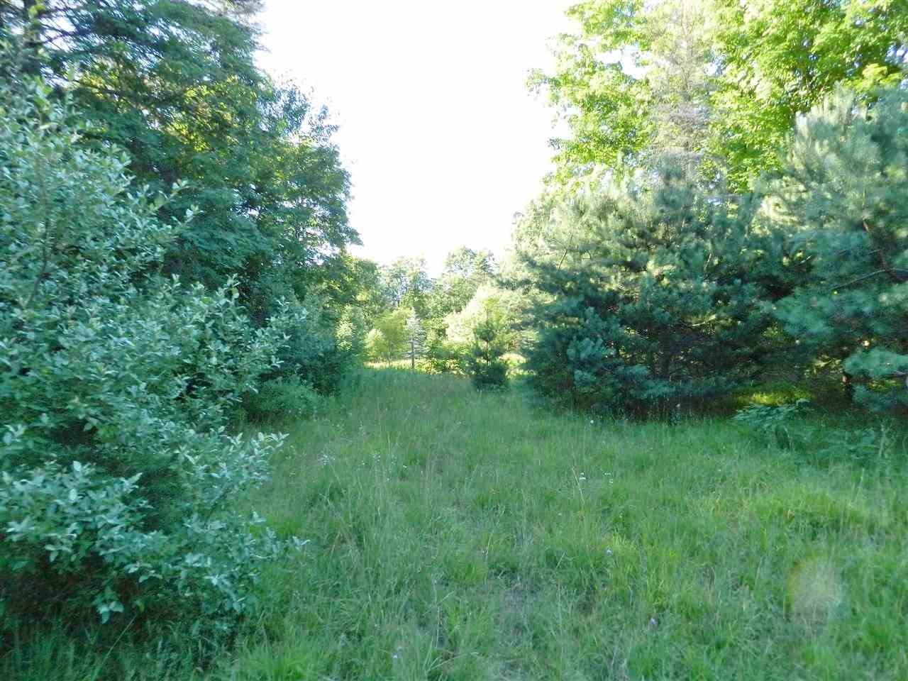 7529 Blue Road Southwest Fife Lake, MI 49633 - Photo 44 of 62 1865960-43.JPG
