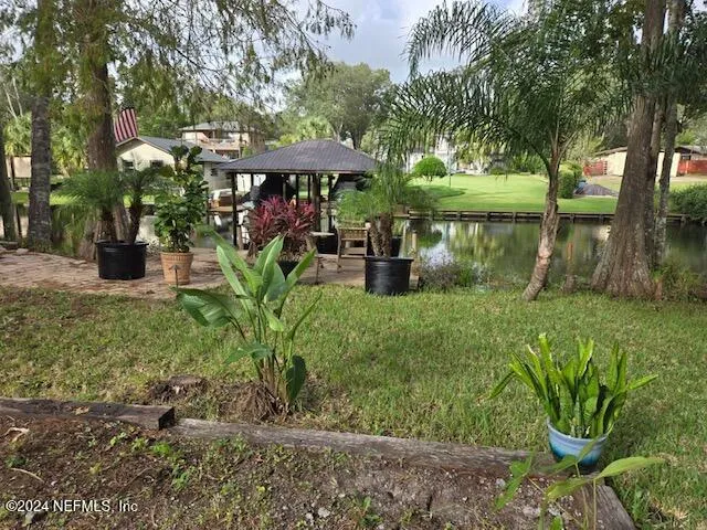 a view of a backyard with plants and a patio