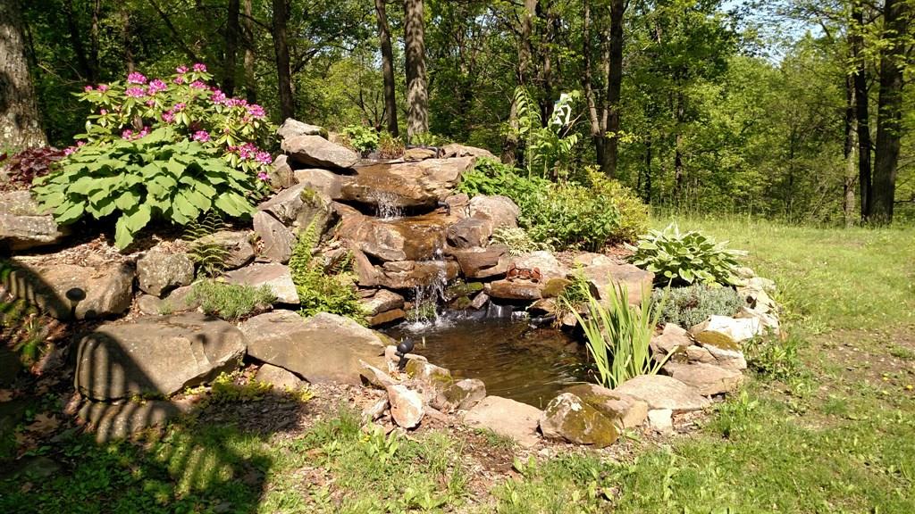 94 Red Lion Road Creekside, PA 15732 - Photo 14 of 22 Landscaped yard