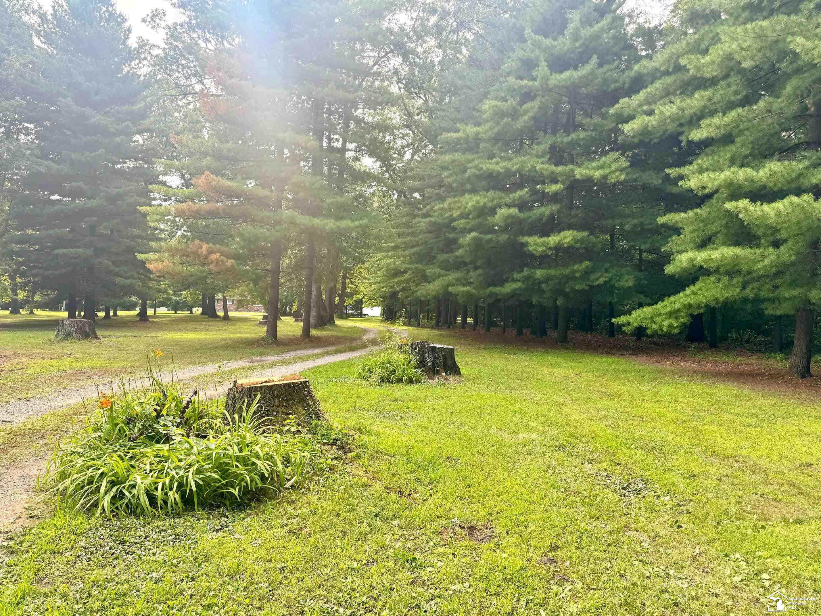 5711 Wells Road Petersburg, MI 49270 - Photo 36 of 43 50182104-d8c09335-5828-417f-a3d3-73c7618c1ac2.JPG