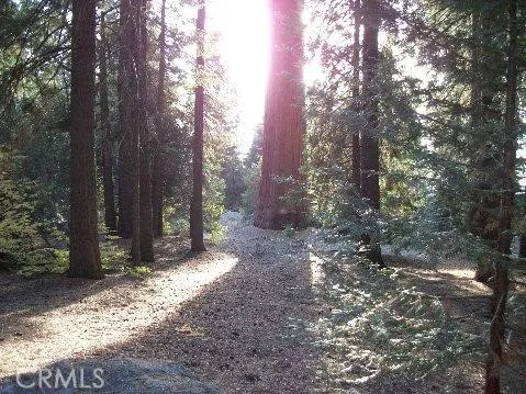 $137,879 | 54584 Ponderosa Drive, Springville, CA 93265