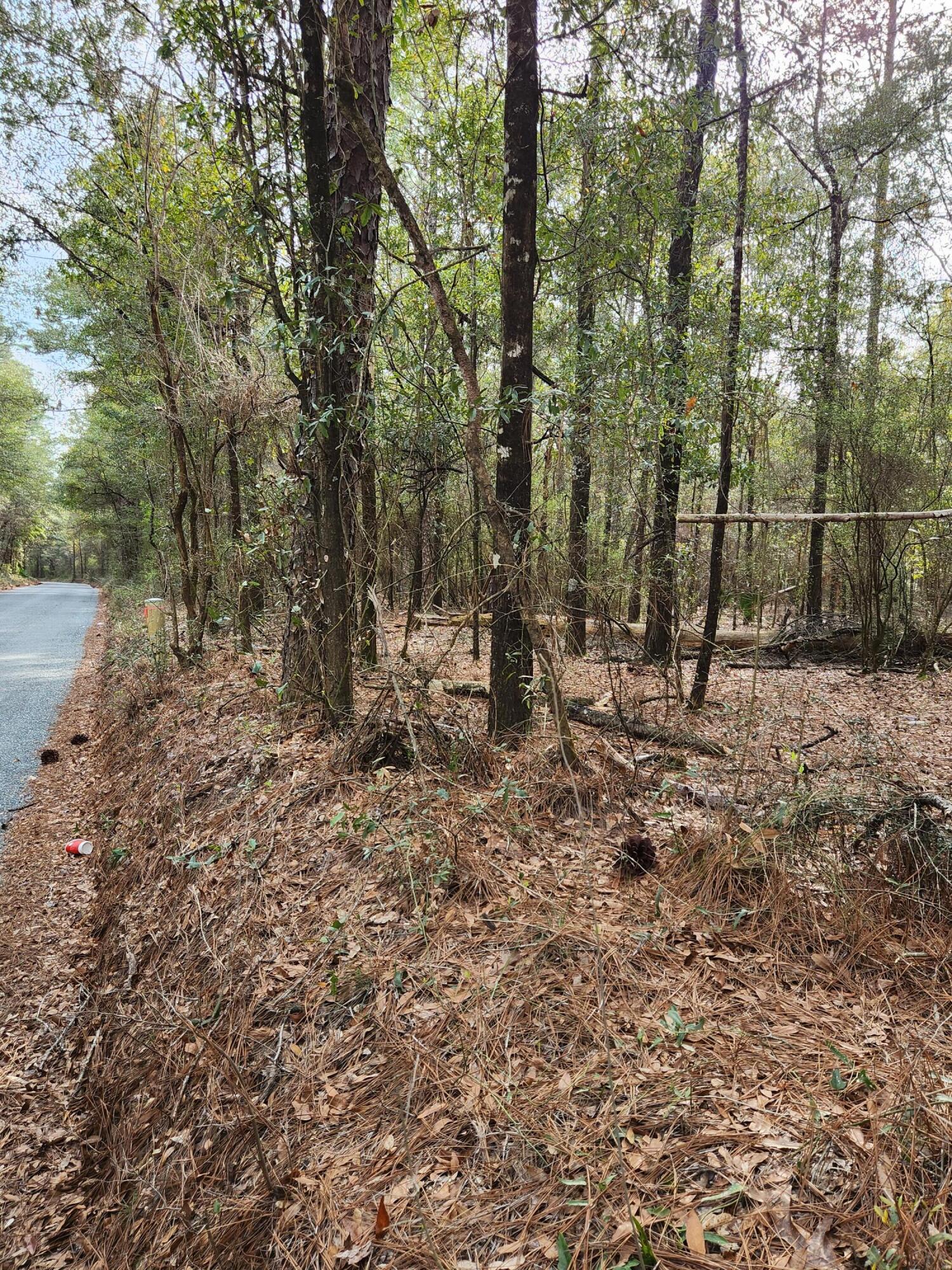 0 Bone Creek Road Holt, FL 32564 - Photo 15 of 26 20230225_151128