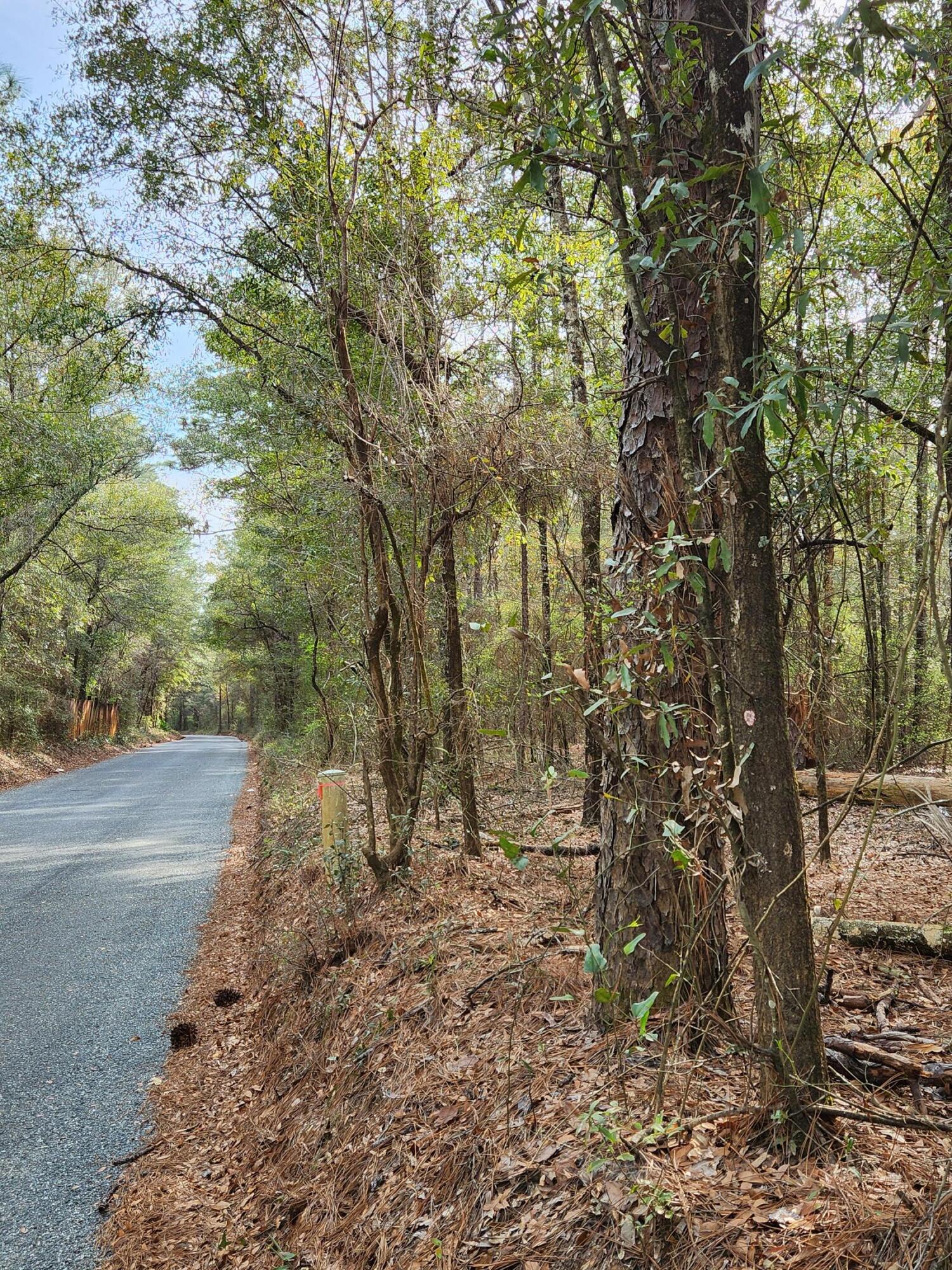 0 Bone Creek Road Holt, FL 32564 - Photo 17 of 26 20230225_151302