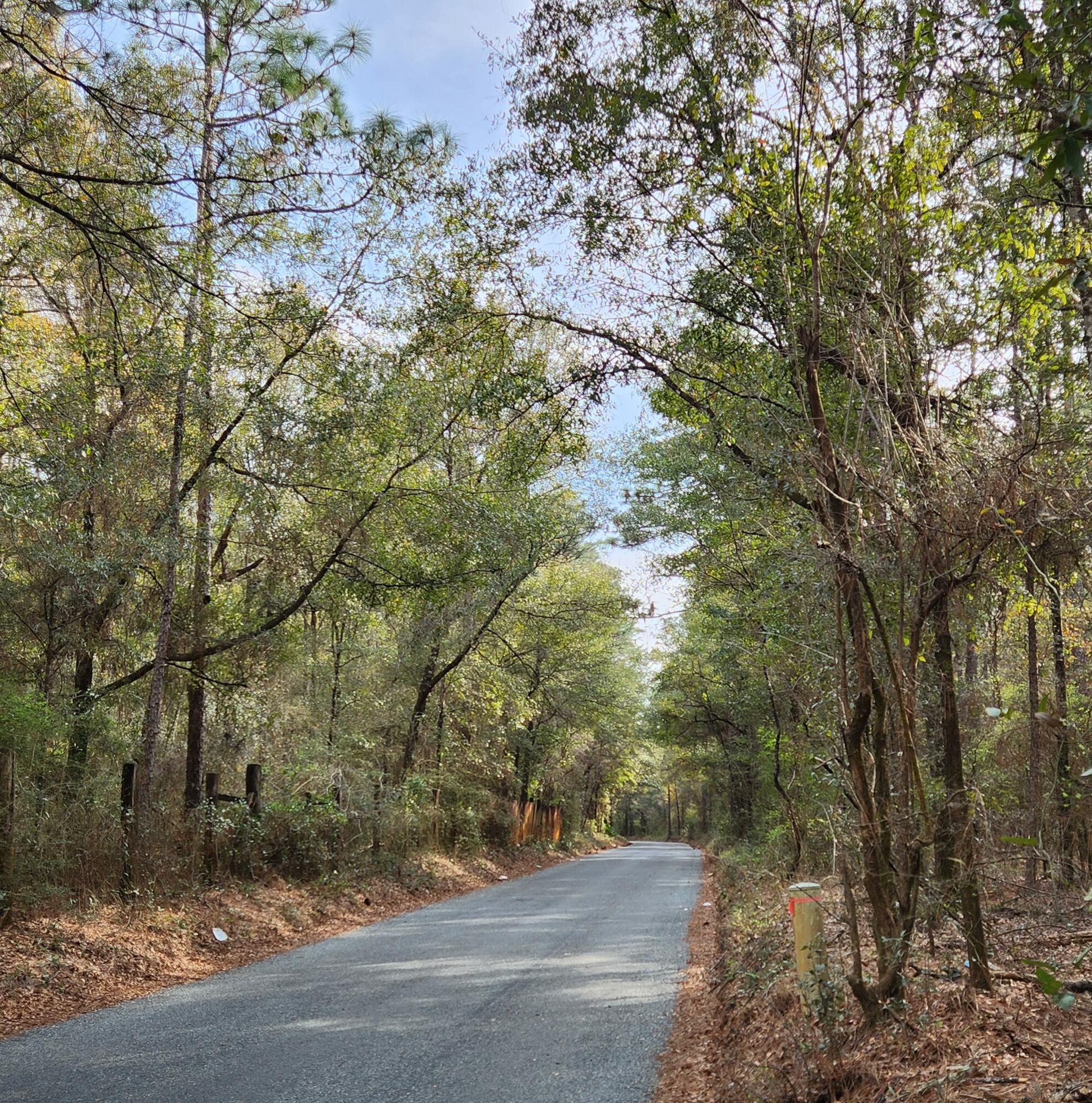 0 Bone Creek Road Holt, FL 32564 - Photo 18 of 26 20230225_151300_2