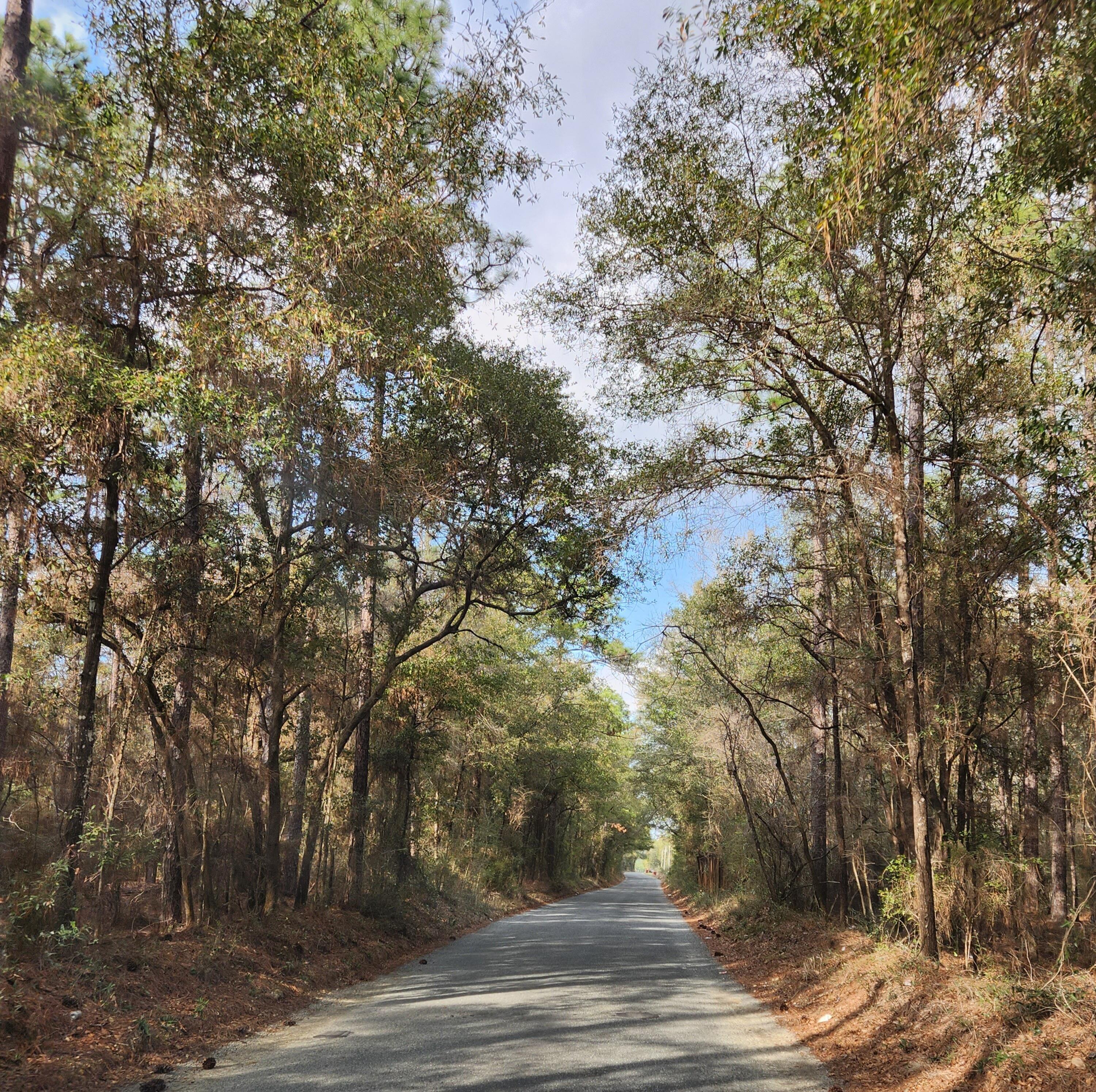 0 Bone Creek Road Holt, FL 32564 - Photo 19 of 26 20230225_150845_2