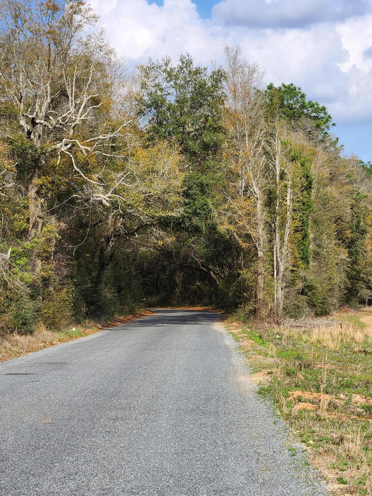 0 Bone Creek Road Holt, FL 32564 - Photo 20 of 26 20230225_150732