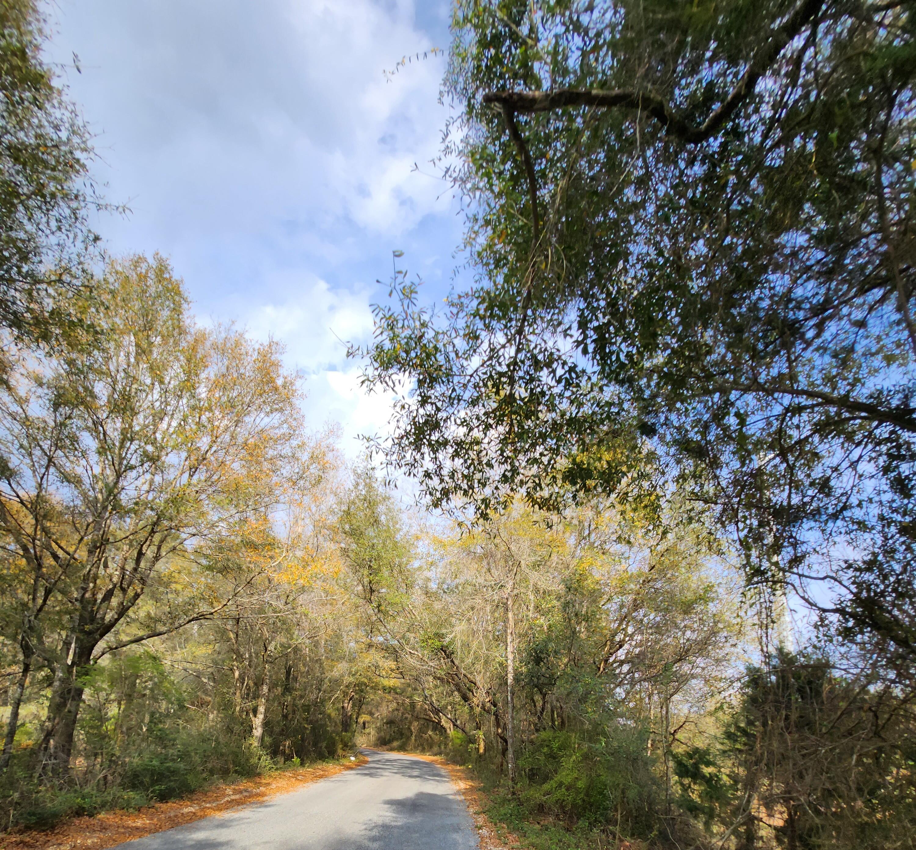 0 Bone Creek Road Holt, FL 32564 - Photo 21 of 26 20230225_150749_4