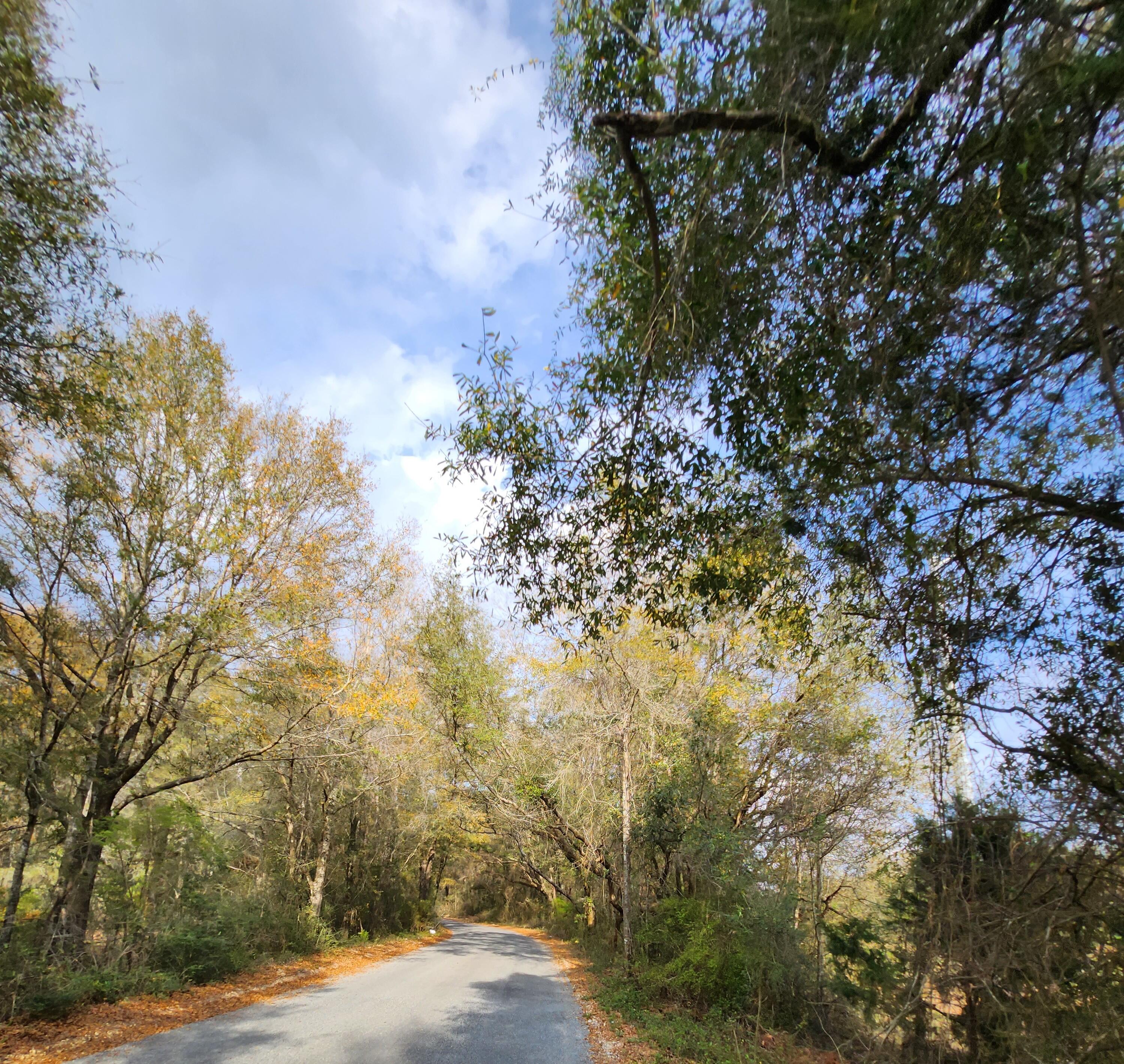 0 Bone Creek Road Holt, FL 32564 - Photo 22 of 26 20230225_150749_3