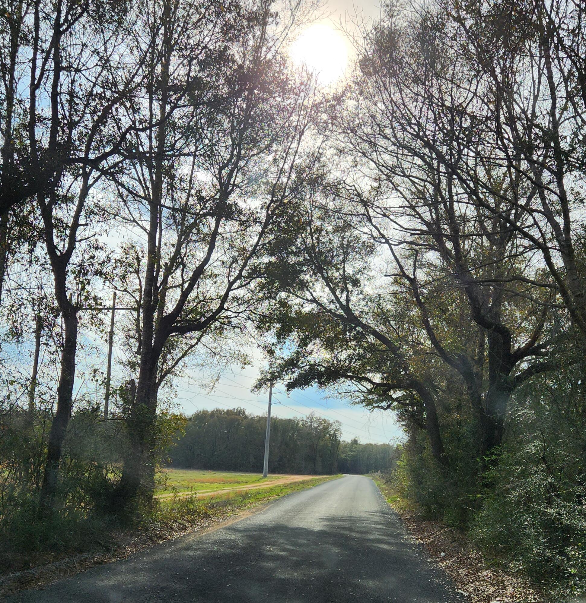 0 Bone Creek Road Holt, FL 32564 - Photo 26 of 26 20230225_151504_5