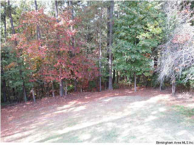 5436 Saddle Ridge Lane Pinson, AL 35126 - Photo 29 of 32
