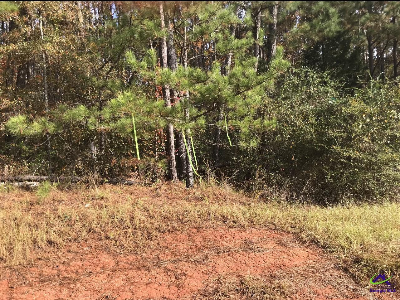 Tract-8 Lower Simmons Road Macon, GA 31220 - Photo 7 of 13