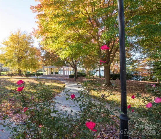 a view of yard with tree