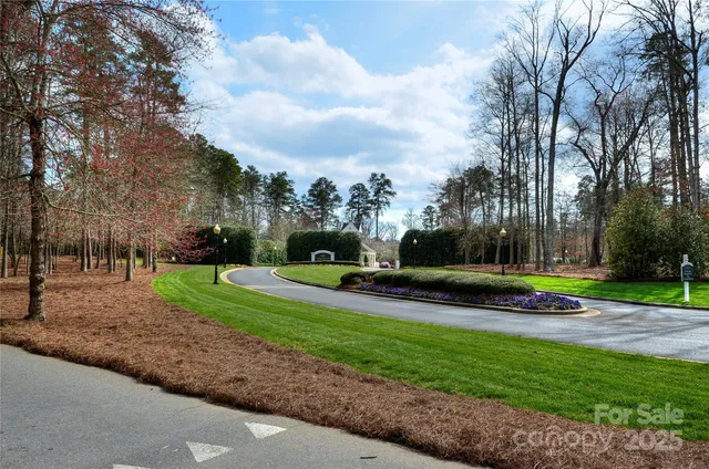 a view of a park with large trees