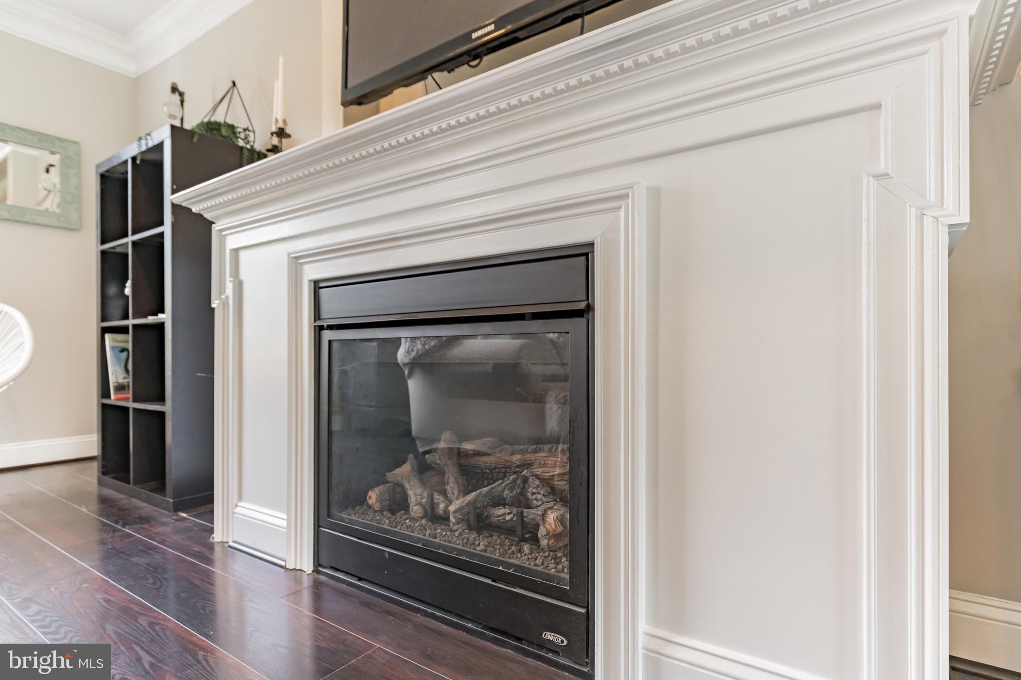 1595 Mallard Point Road Prince Frederick, MD 20678 - Photo 3 of 59 Gas Fireplace in Living Room