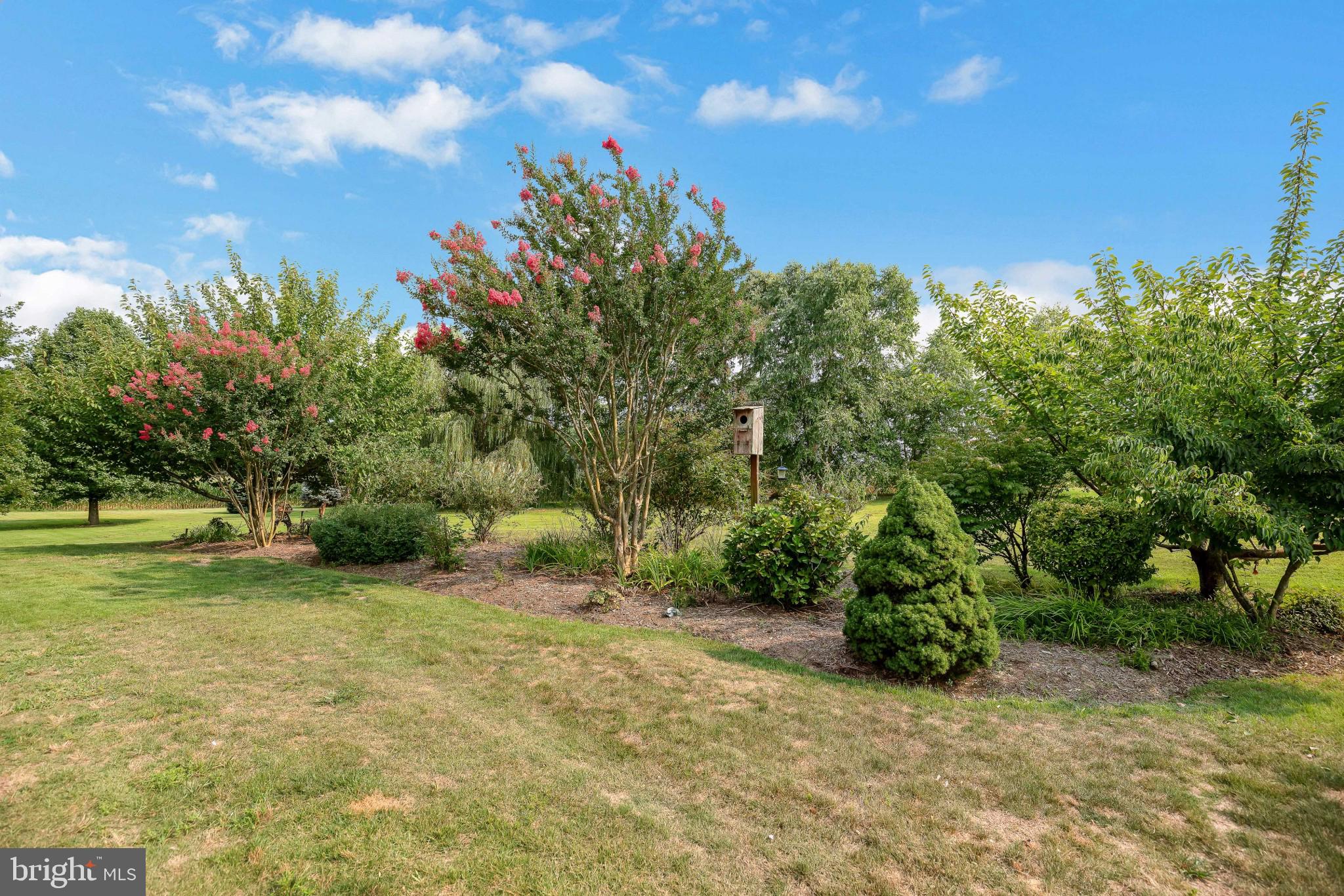 1595 Mallard Point Road Prince Frederick, MD 20678 - Photo 54 of 59 Front yard