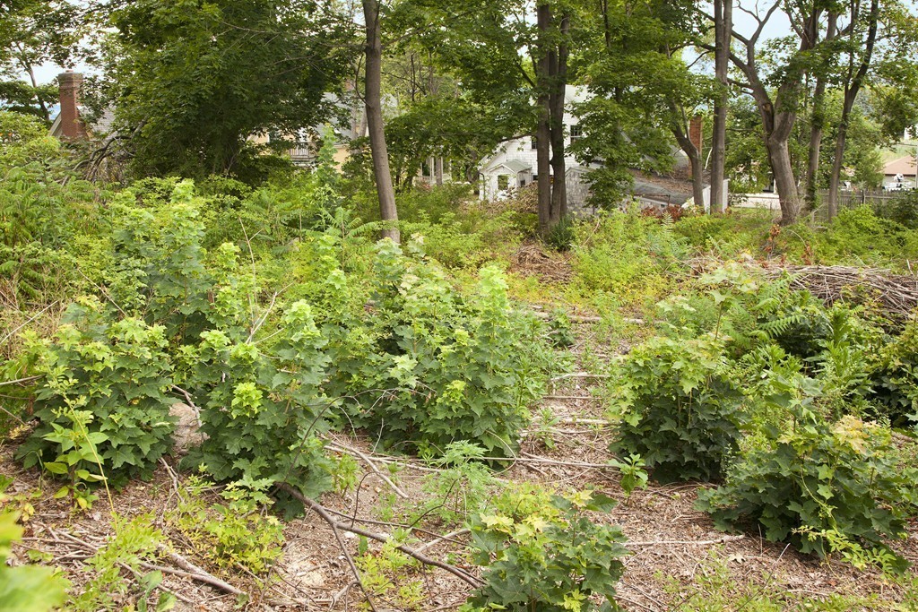 75 Main Hull, MA 02045 - Photo 2 of 4 Gallery Image 2
