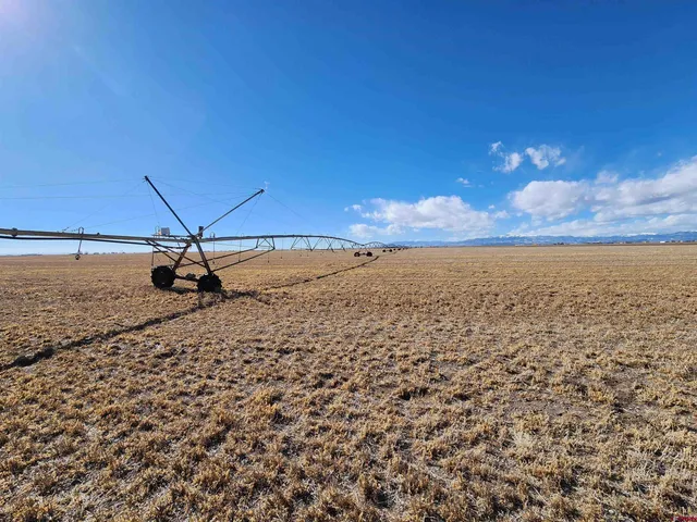 a bathroom with a shower curtain