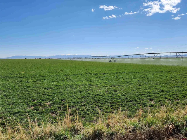 a view of an ocean and a yard