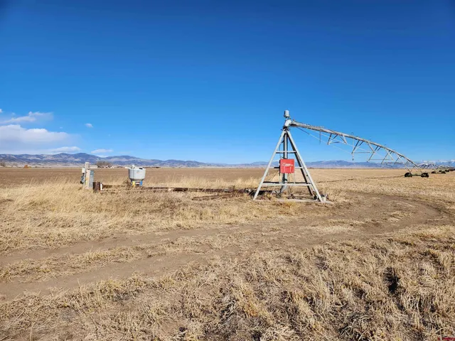 a view of beach and ocean