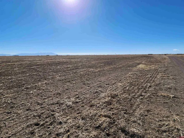 a view of a sky from a yard