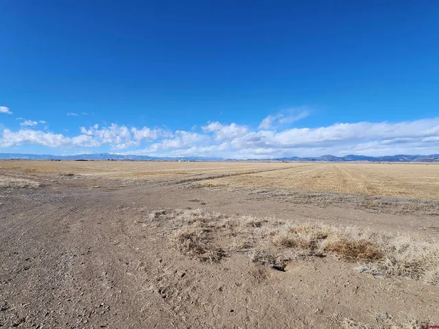 a view of beach and ocean