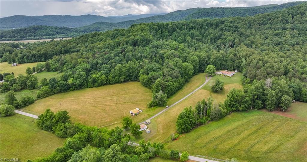 Tbd Shingle Gap Road Purlear, NC 28665 - Photo 20 of 20