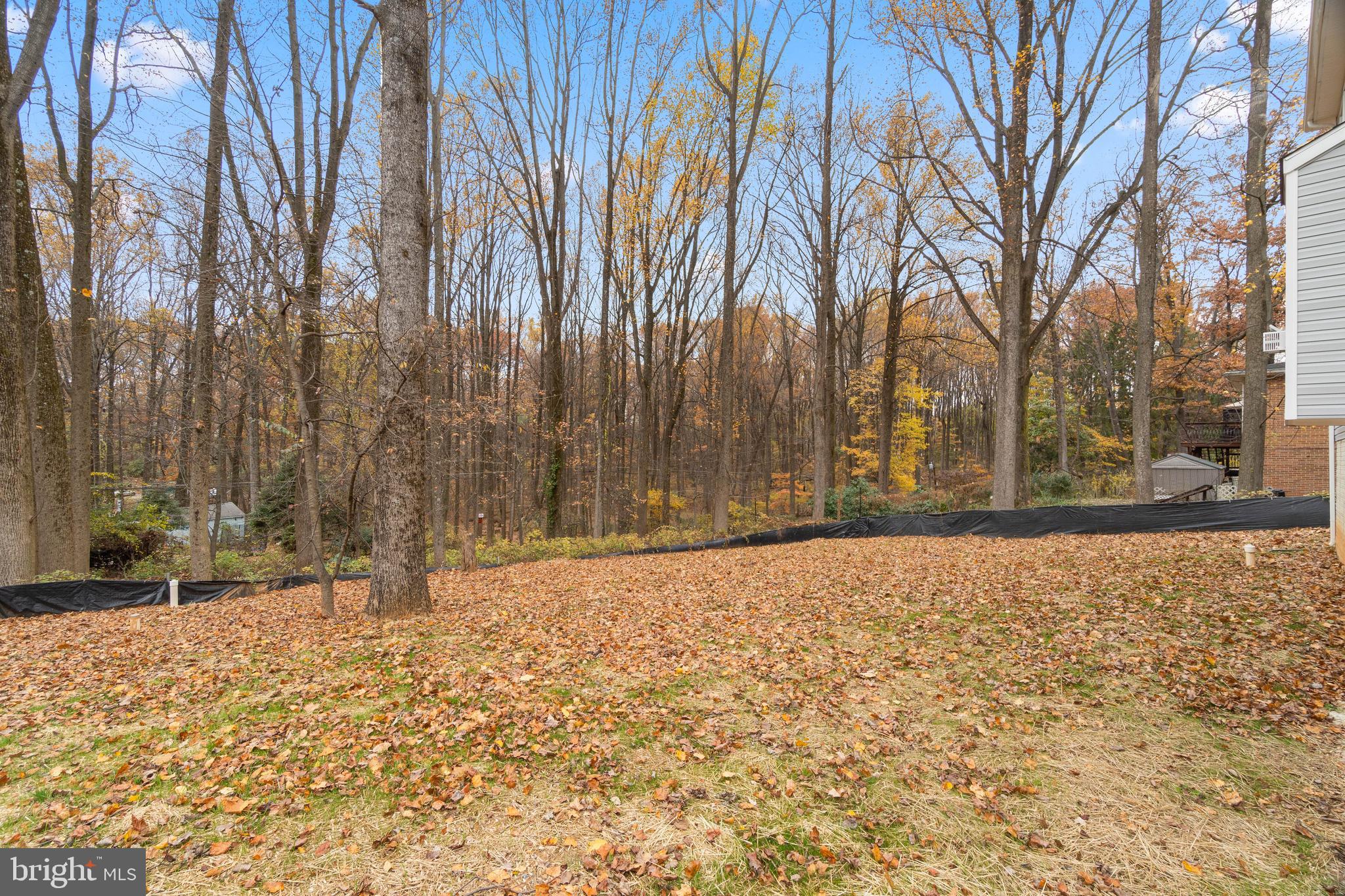 24 Millstone Road Randallstown, MD 21133 - Photo 47 of 50 Rear Yard