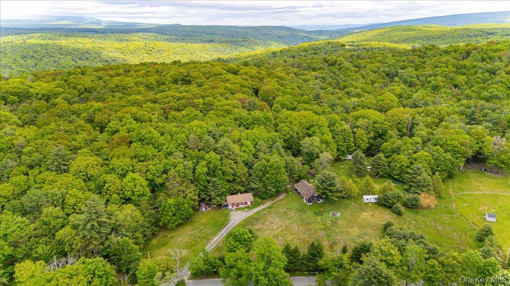 101 Red Star Road Greenfield Park, NY 12435 - Photo 3 of 50